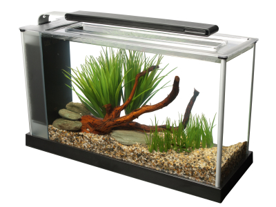 Fluval Spec V (19 Liter)