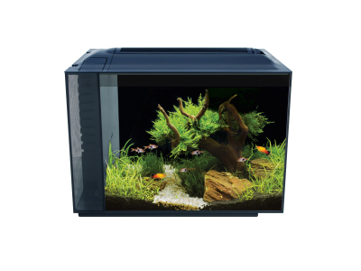 Fluval Spec XV Nano Aquarium mit 60L