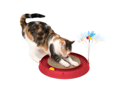 Play and Scratch Biene - unwiderstehliche Katzenspielzeug