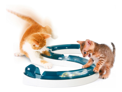 Spielschiene , das Katzenspielzeug