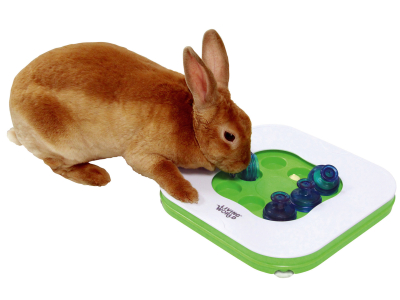 Living World 3-in-1 interaktives Spielzeug