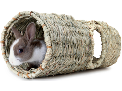 Living World Green Seegras-Spieltunnel 47x17x17cm