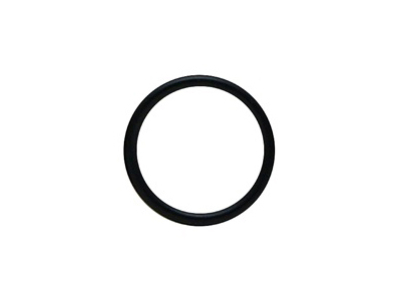 AquaClear Dichtungsring für AquaClear Mini