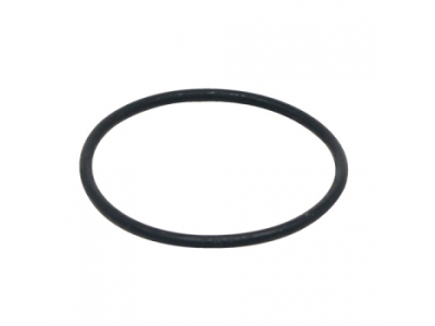 Dichtungsring für Fluval FX5 & Fluval FX6 Motor