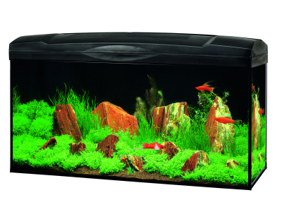 Marina Basic - Glasaquarium Komplett Set