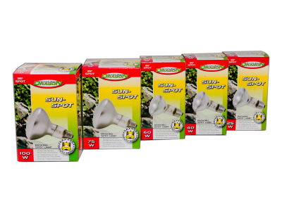 Dragon - Sun Spotstahler - Basking Spotstrahler