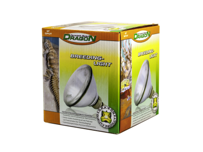 Dragon Breeding Light - Paarungs stimulirendes Beleuchtung