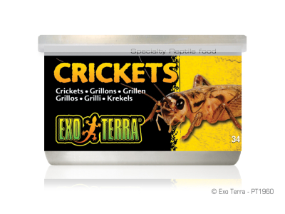 Exo Terra Dosenfutter / Crickets Grillen