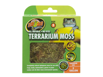 Natürliches Terrarium Moss