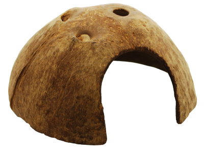 Kokosnuss Halbschale - Terrariendekoration