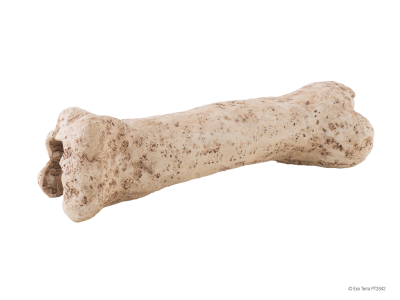 Exo Terra Dinosaur Bone / Dinosaurierknochen