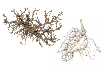 Outback Busch 4Stk - für die Gestaltung von Wüstenterrarien