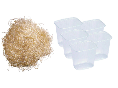 Drosophila / Fruchtfliegen Zuchtansatz Set