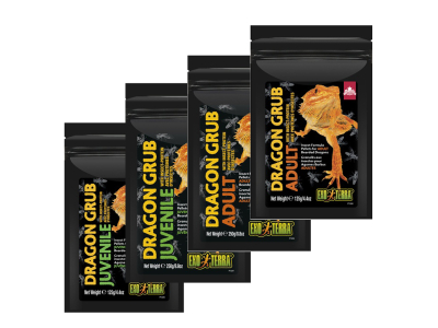 Exo Terra - Dragon Grub - Bartagamen Futter mit insektenprotein