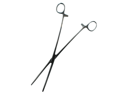 Futterzange aus Edelstahl / Rostfrei für die Fütterung 