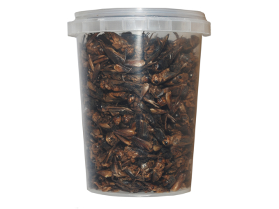 500 ml Grillen gefriergetrocknete / getrocknet