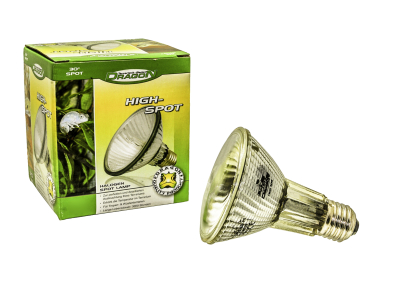 Dragon High-Spot - Halogen Spotstrahler