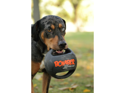 Zeus "Xtreme" Bomber