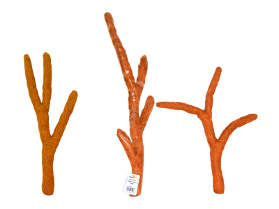 CocoTroncho / Kokosnuss Stamm - Biegbar