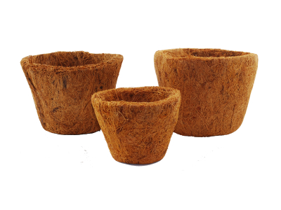 Kokosfasertöpfe für Terrarien Pflanzen