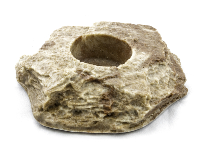 Dragon Jelly Food Rock