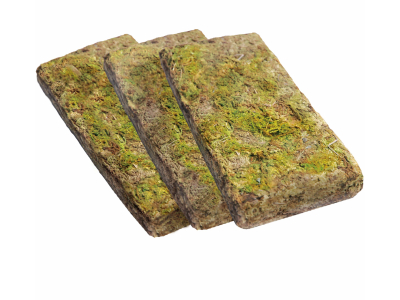 Forest Moos - Waldmoos