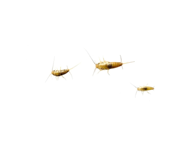 Ofenfischchen - Ofenfische ca. 80 Stck.