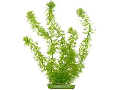 Marina Aquascaper Hornwort