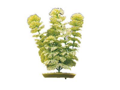 Marina Aquascaper Ambulia