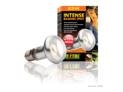 Exo Terra Intense Basking Spot Terrarien Spotstrahler