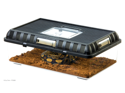 Exo Terra Breeding Box Kunststoff Faunarium