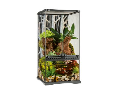 Exo Terra Natural Paludarium incl. Rückwand