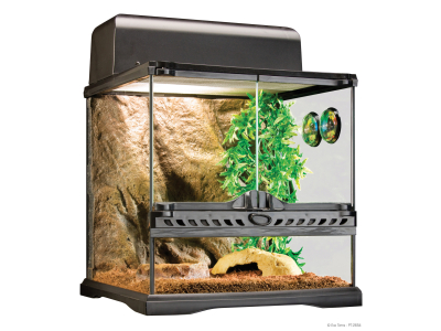 Exo Terra : Habitat Kit Invertebrate / Glasterrarien Starterset für Wirbellose Tiere