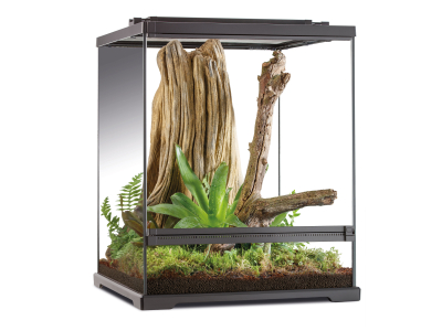 Exo Terra - Frog Line Glasterrarium mit Bodenablauf