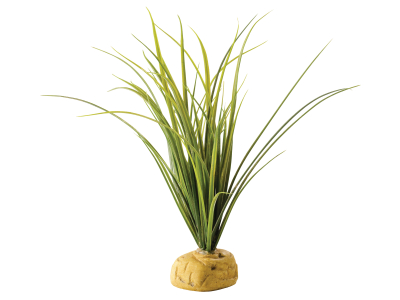 Turtle Grass - Dschungelreben 12,7x 25,4 x 27,9 cm