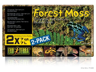 Exo Terra Forest Moss - natürliches Waldmoos 