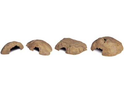 Exo Terra Reptile Cave / Natürliches Versteck