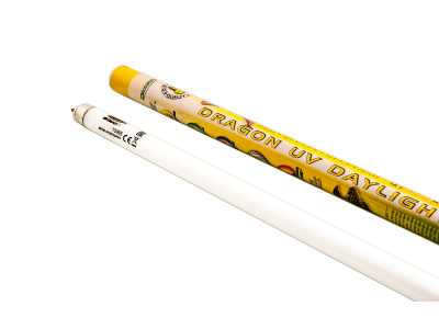 DRAGON UV DAYLIGHT Tageslichtneonröhren T5