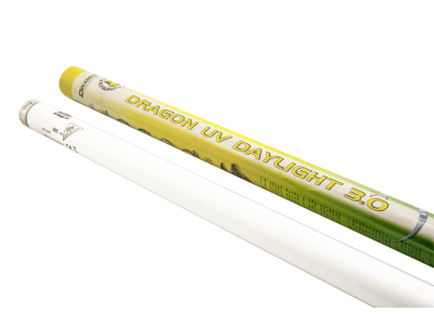 DRAGON UV DAYLIGHT 3.0 Tageslichtneonröhre mit UVA- & UVB-Anteil