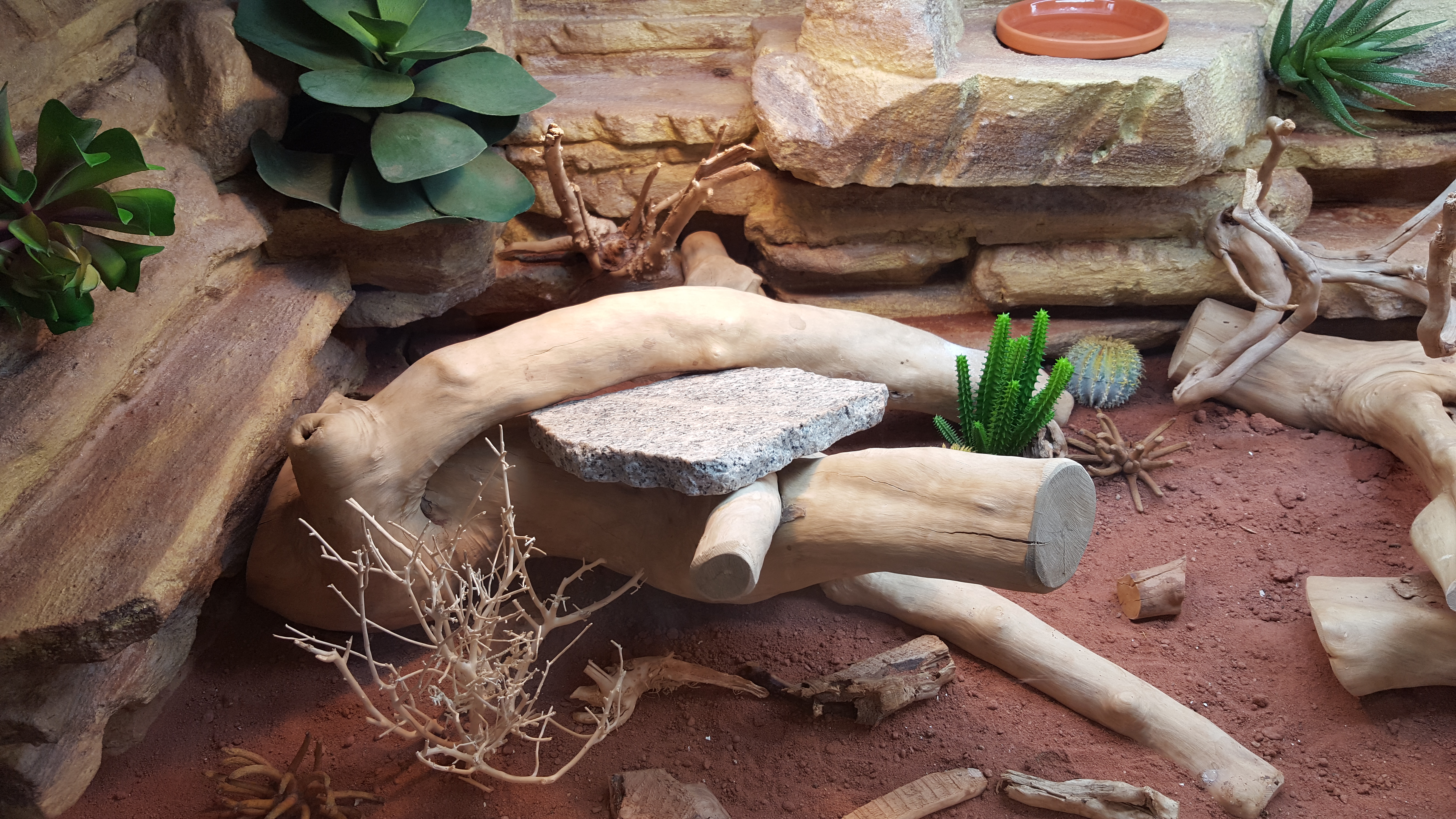 Leopardgecko Terrarium Deko